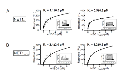 笑傲江湖，谁与争锋 — 2021 用Biacore 发表的CNS文章荟萃（下）
