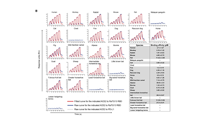 笑傲江湖，谁与争锋 — 2021 用Biacore 发表的CNS文章荟萃（上）