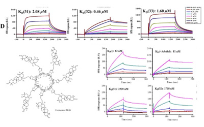 Biacore助力流感病毒跨种传播机制及药物研发