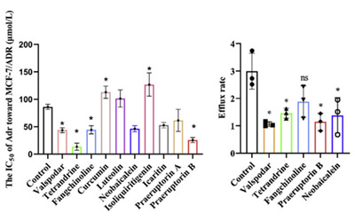 Biacore十八般芯片知多少 — L1芯片构建膜蛋白药物筛选体系