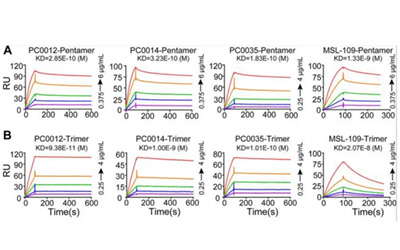 尊嘟假嘟，巨细胞病毒抗体研究有它就够了