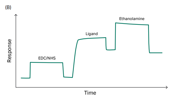 “芯”发现：CM系列芯片的多种玩法