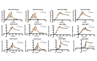 2024开箱盘点：过去一年Biacore和CNS的那些事儿