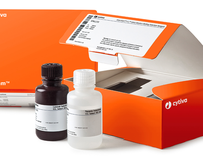/product/amersham-ecl-select-western-blotting-detection-reagent-p-06263/