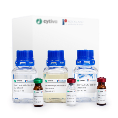 用于验证宿主细胞蛋白 ELISA 的 HCP DIBE™ CHO 试剂盒