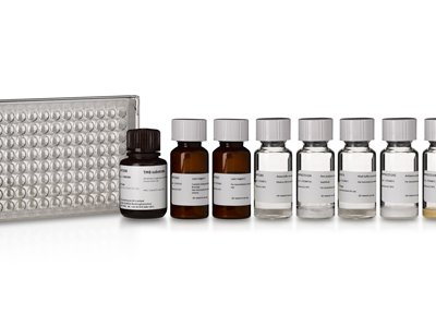 cAMP Direct Biotrak 酶免疫检测系统 (EIA) （非乙酰化方案）