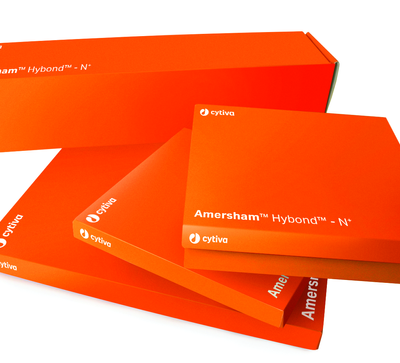 Amersham Hybond-N+