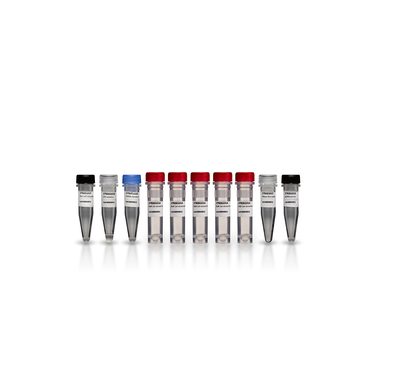cDNA 合成试剂盒