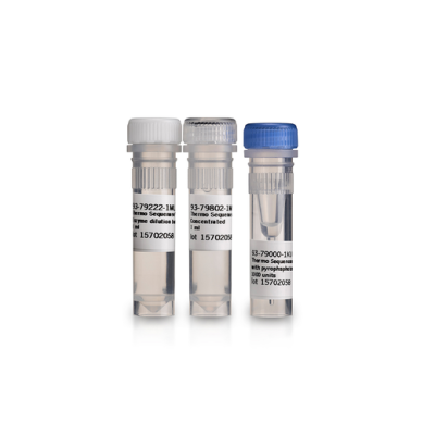 Thermo Sequenase™ DNA 聚合酶
