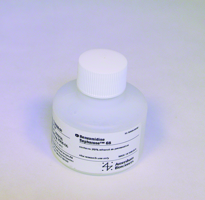 Benzamidine Sepharose 6B