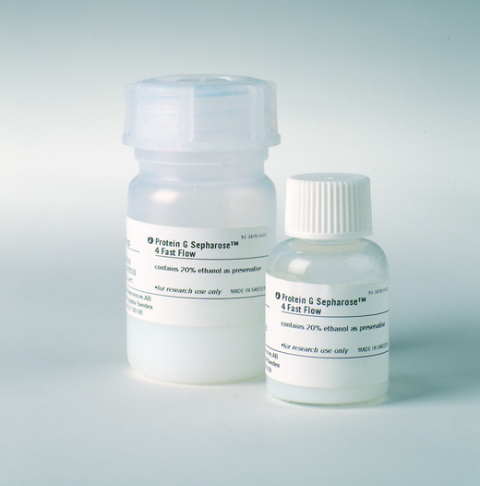Protein G Sepharose 4 Fast Flow 抗体纯化填料