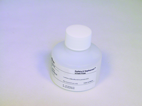 Protein G Sepharose 4 Fast Flow 抗体纯化填料