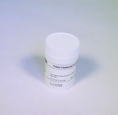 Protein A Sepharose CL-4B 抗体纯化填料