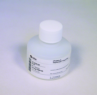 用于抗体纯化的 rProtein A Sepharose FF 填料