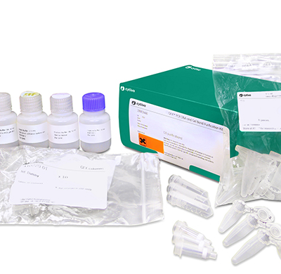 GFX PCR DNA 和 Gel Band 纯化试剂盒