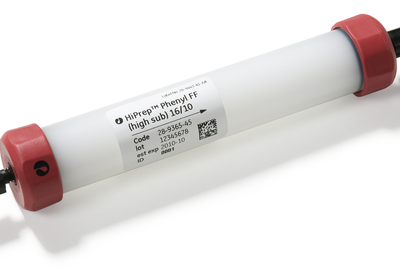 HiPrep Phenyl FF（High Sub）