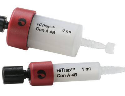 HiTrap Con A 4B 层析柱