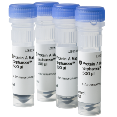 Protein A Mag Sepharose