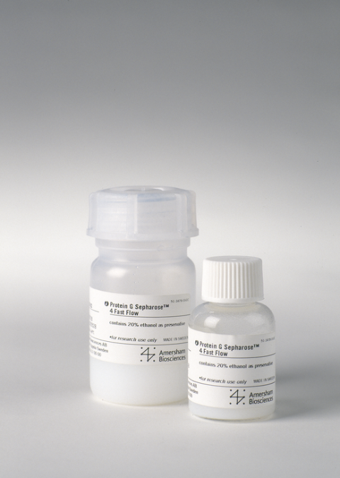 Protein G Sepharose 4 Fast Flow 抗体纯化填料