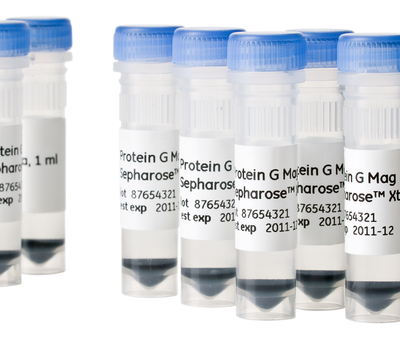 Protein G Mag Sepharose Xtra