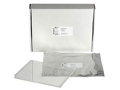 DIGE Gels LF24