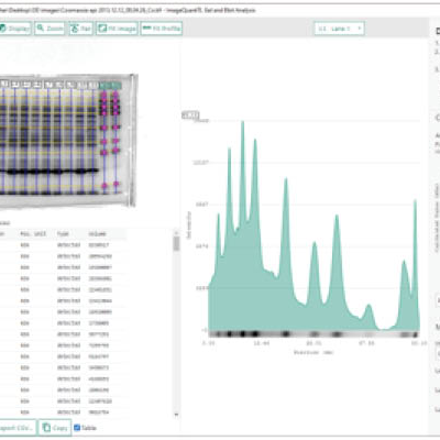 ImageQuant™ TL 10.2 分析软件