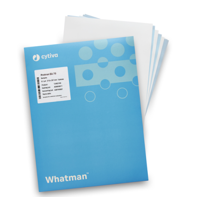 Whatman Protran BA membranes