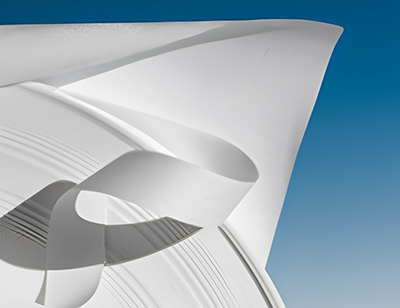 Emflon™ PTFE 排气膜