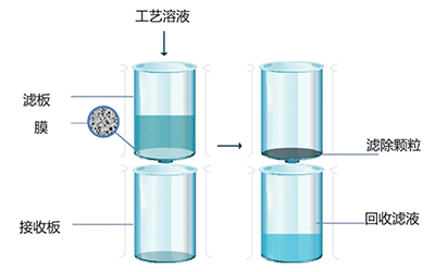 24孔到384孔全覆盖:Pall一站式滤板解决方案助力高通量样本处理!(上)