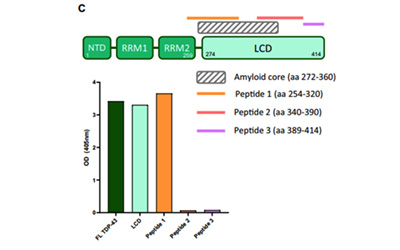 Biacore赋能“破冰行动”：带来靶向渐冻症TDP-43新希望