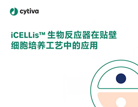 iCELLis生物反应器在贴壁细胞培养工艺中的应用