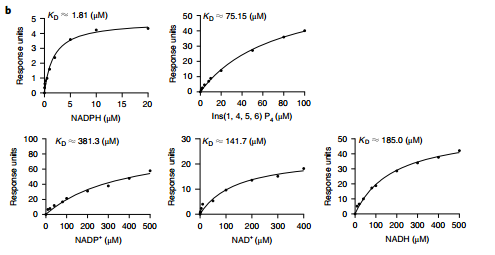 图3 HDAC3与NAD+, NADH, NADP+,NADPH, Ins(1,4,5,6)P4的Biacore检测结果
