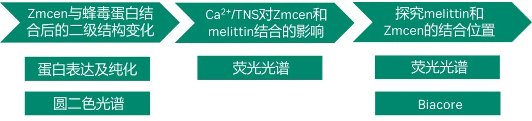 图3.  文章整体思路
