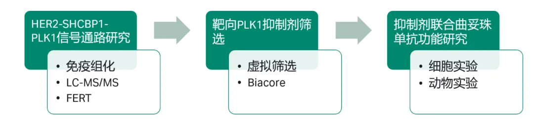 图4 文章整体思路