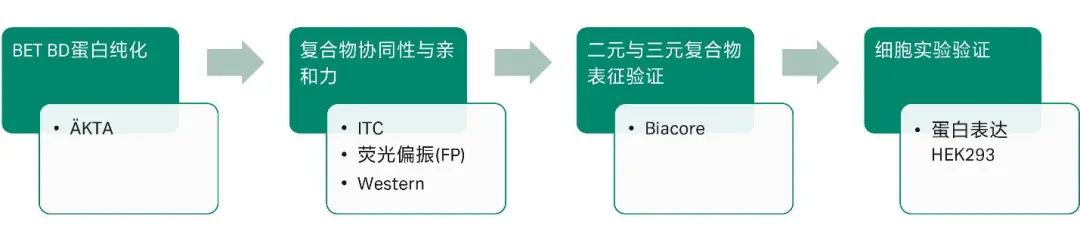 图6 文章整体思路梳理