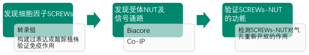 图6  文章整体研究思路