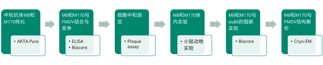 图3 文章整体研究思路