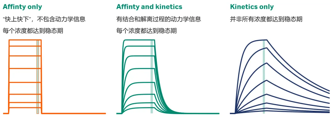 图5 不同的结合模型对应的拟合模型