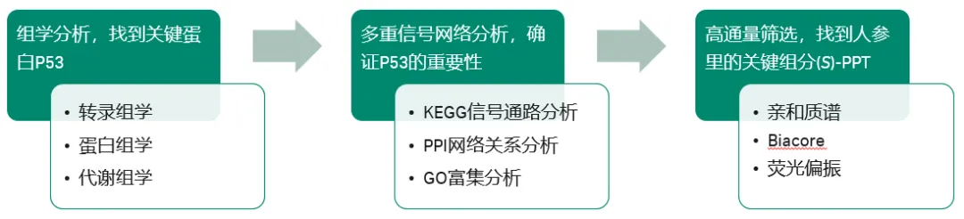 图1.本文研究思路概览（详细内容见原文）