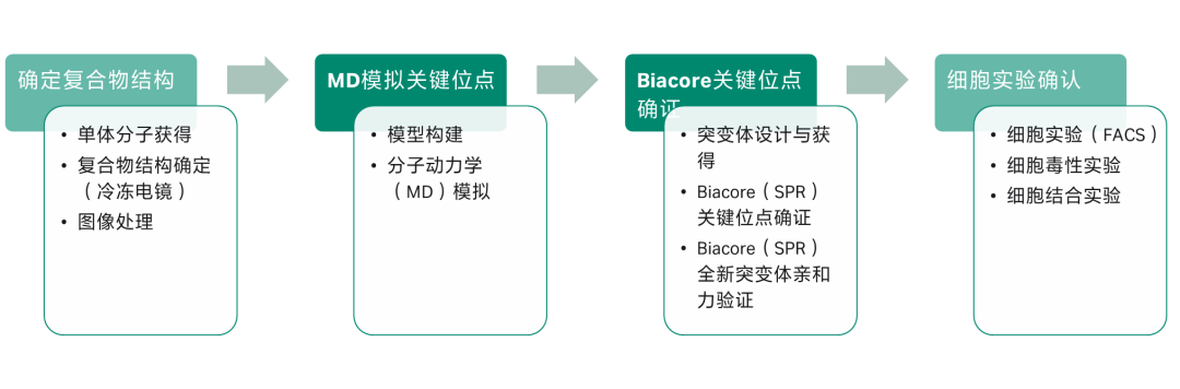 图6：针对CAR分子的进一步优化的设计策略