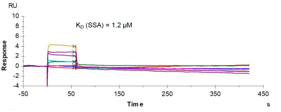 图1：ATP抑制剂dinaciclib与CDK1结合 注：SSA为作者简写的Biacore分析方法Steady-state affinity