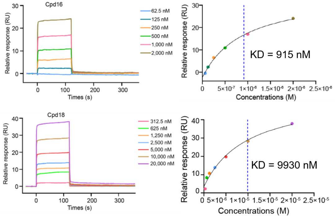 图3：Biacore检测PI3Kα与Cpd16、Cpd18的亲和力