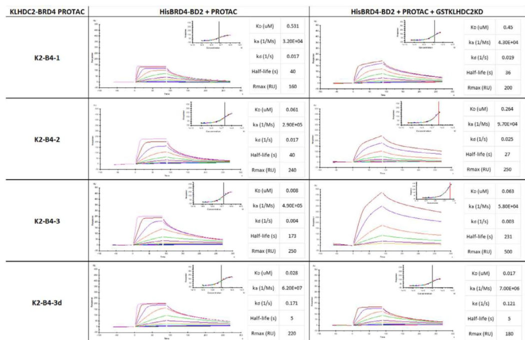 图5：Binary SPR assay、Ternary SPR assay