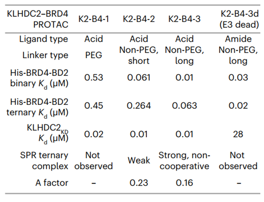 图6：Ternary complex SPR experiments