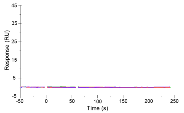 图2：Biacore测定rhPDGFRβ、rMPDGFRβ、rhPDGFRα与RESCA-Z09591的亲和力/动力学 
