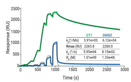 图3：Biacore检测在CT1存在下Topo II与dsDNA的亲和力和动力学