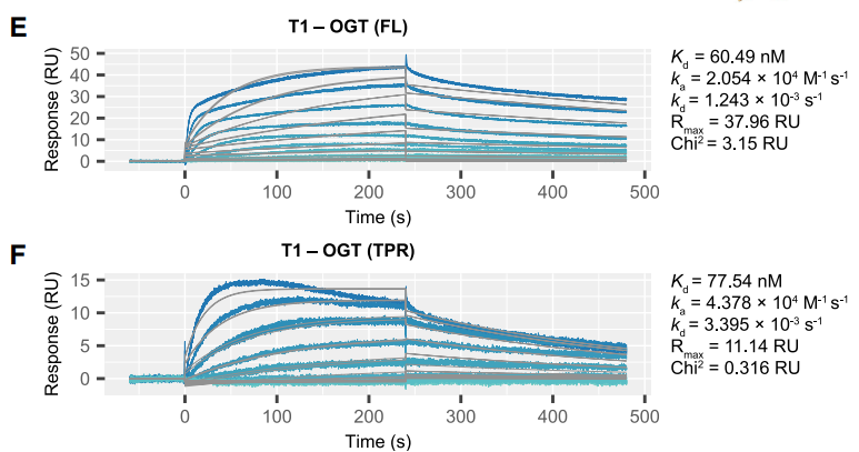 图4：Biacore检测靶点与适配体亲和力