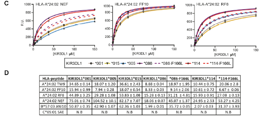 图1：Biacore检测不同基因序列与对应HLA分子之间的