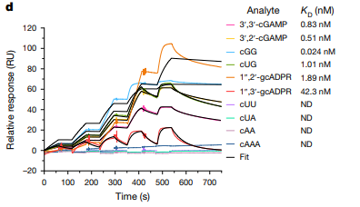 图6：不同CDN分子与HgmTad2亲和力结合对比