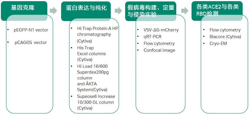 图4 文章整体研究思路